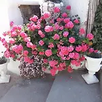 Natalina Отель типа 