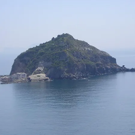 Natalina