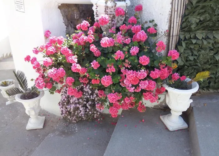 Natalina Oda ve Kahvaltı Forio di Ischia