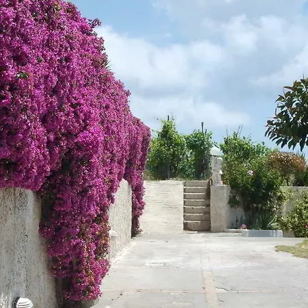 לינה וארוחת בוקר Natalina